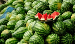 网红吃瓜爆料情报处,揭秘娱乐圈幕后真相，吃瓜群众齐围观